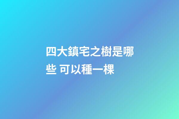 四大鎮宅之樹是哪些 可以種一棵